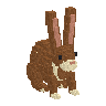 Bracken Hare model portrait