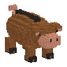 Fernback Pig model portrait