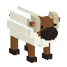Heather Sheep model portrait
