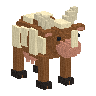 Meadow Cow model portrait